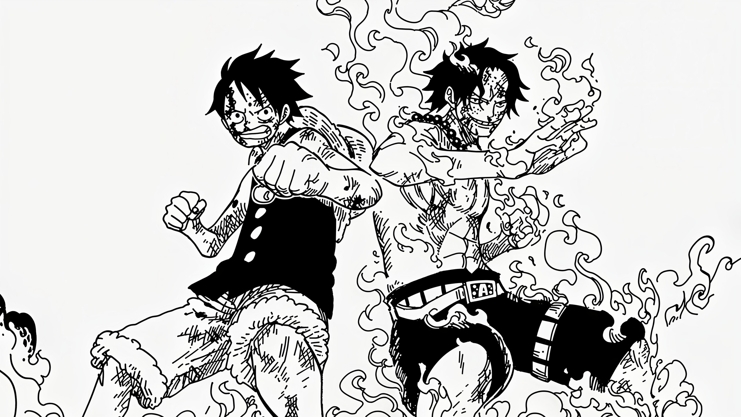 Dynamic image from the One Piece series depicting the powerful bond between adoptive brothers Monkey D. Luffy and Portgas D. Ace as they fight side by side at Marineford. The artwork captures their combined strength, with Ace's Mera Mera no Mi fire abilities complementing Luffy's Gomu Gomu no Mi rubber powers in battle.